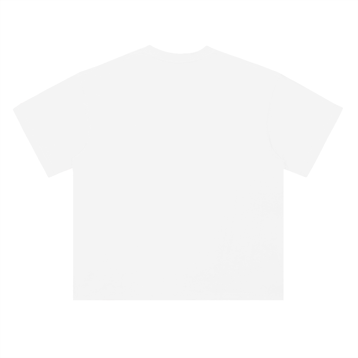 Classic Heavyweight T-shirt