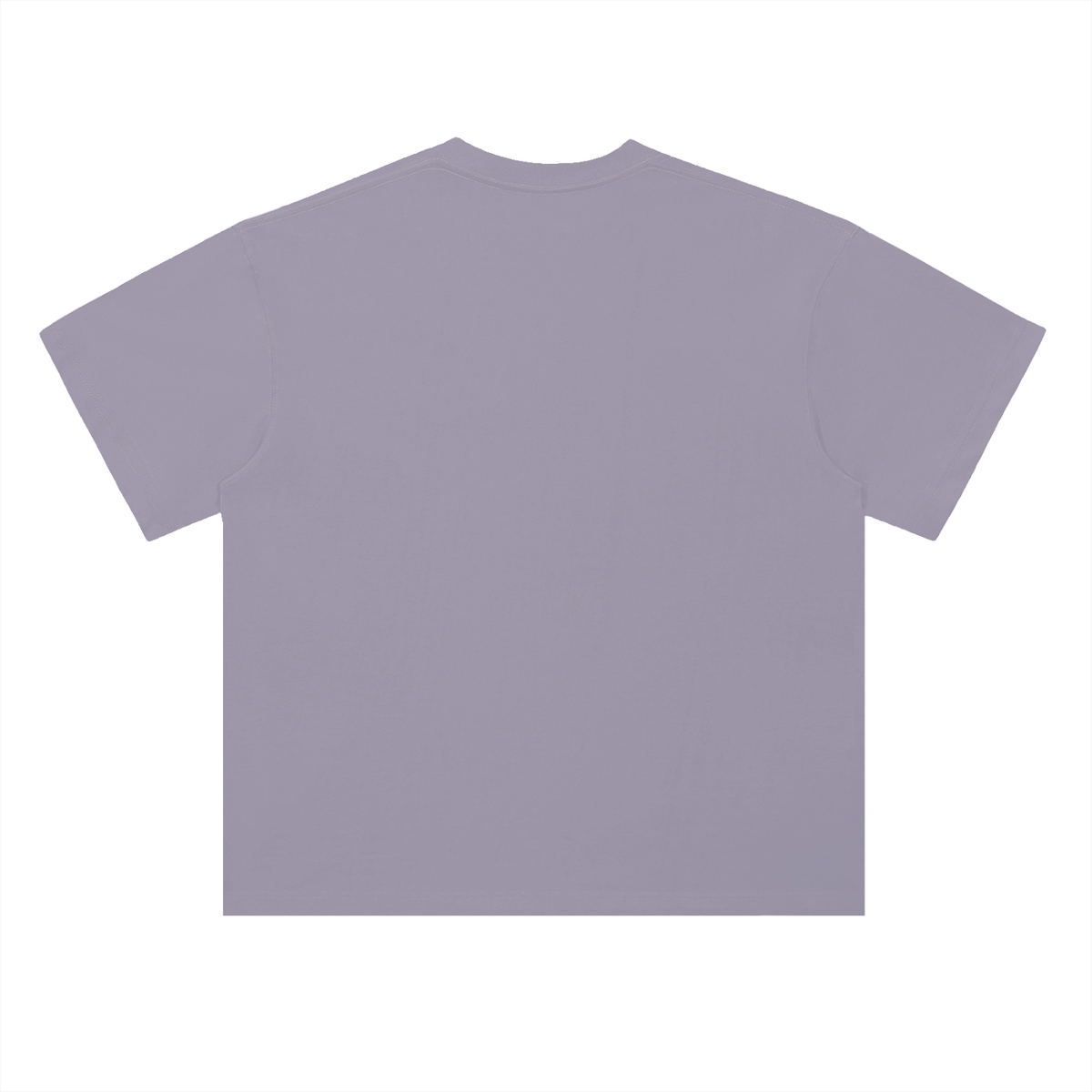 Classic Heavyweight T-shirt